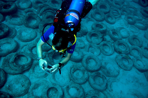 Will Nuckols photographs the tire reef in Ft Lauderdale Florida