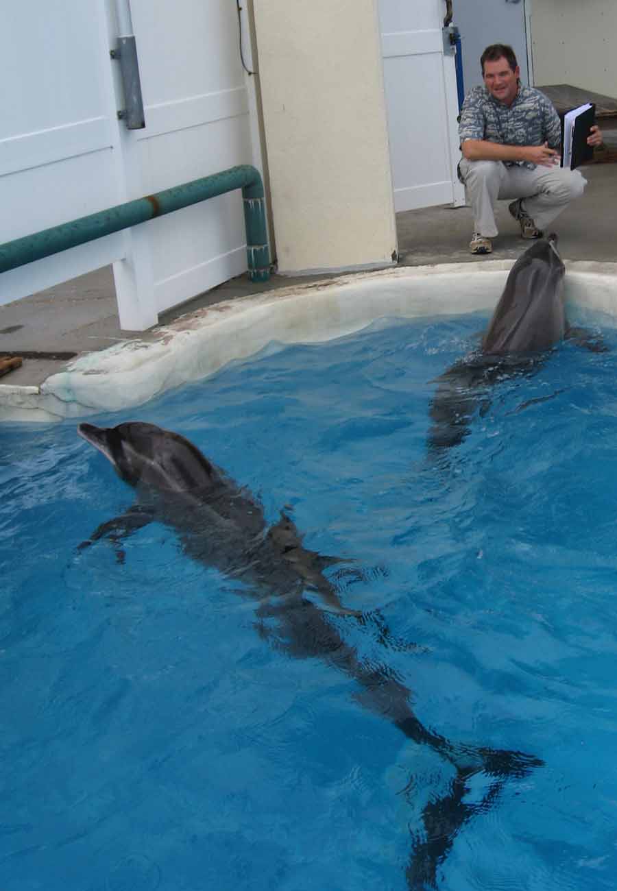 Will Nuckols visits Noah the Rough Toother dolphin